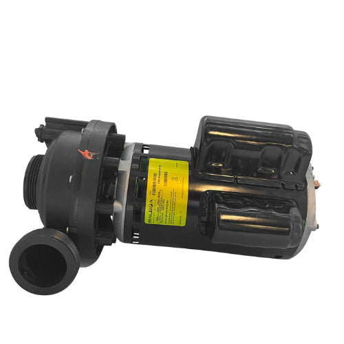 6500-343S (Jacuzzi® ) Pump: 2 Speed, J-300 Series (2002–2014)