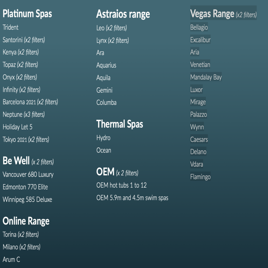 Platinum Spas SS01 Filter