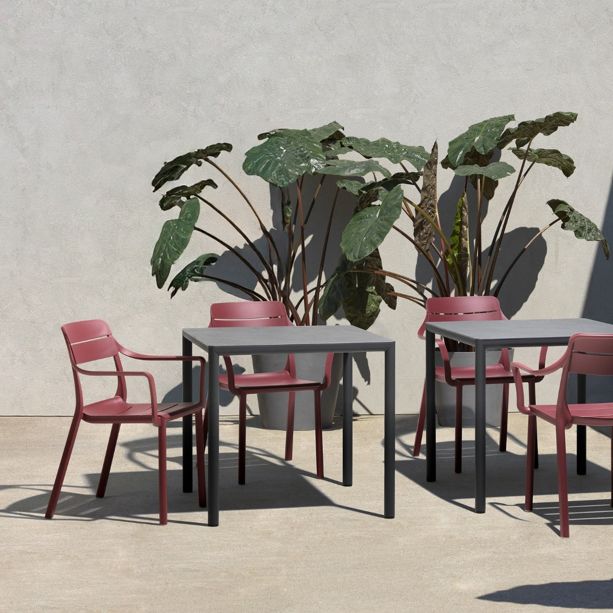 CASSIA Armchair by Nardi
