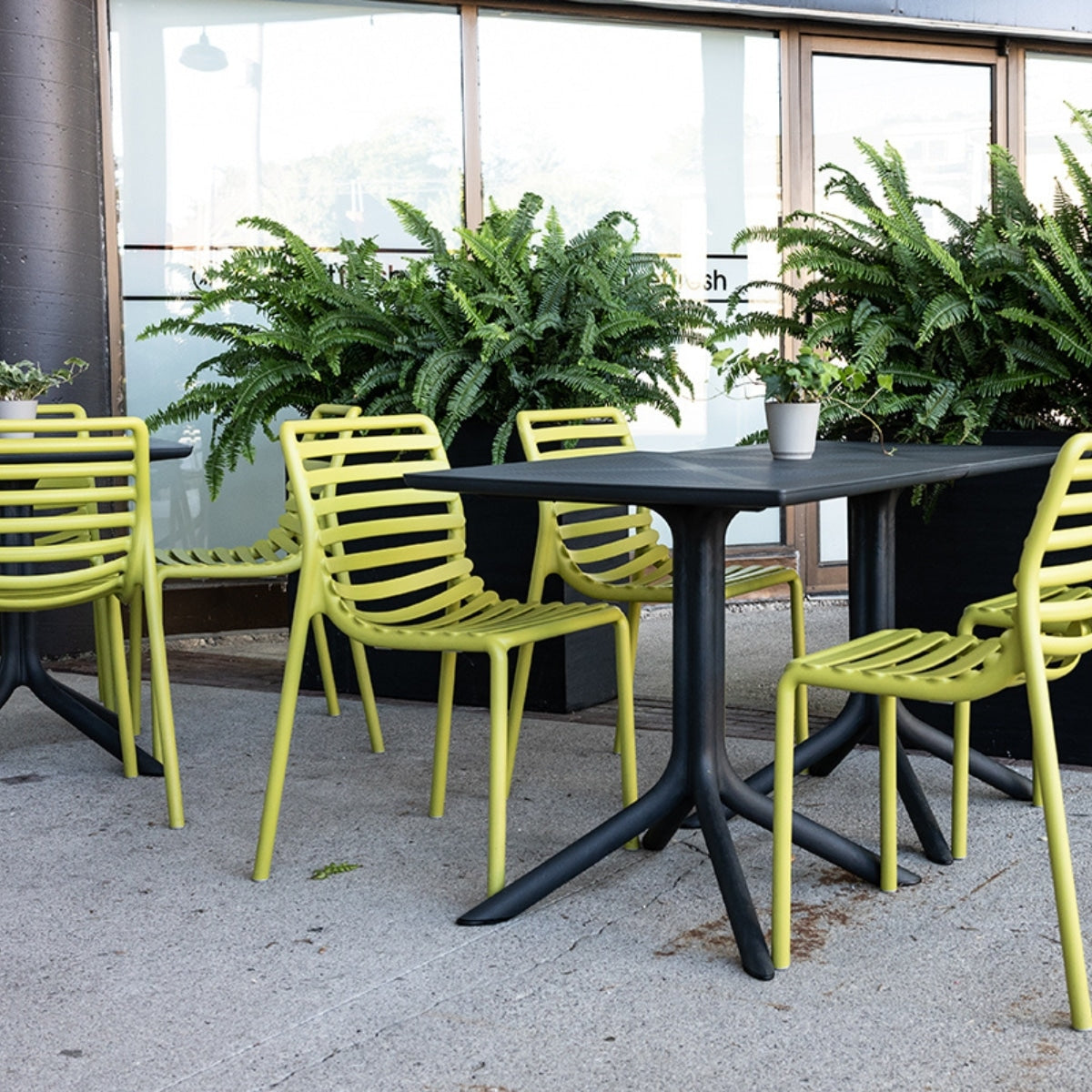 DOGA Side Chair by Nardi