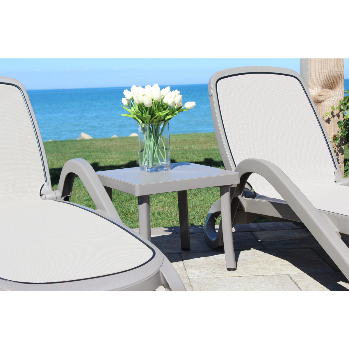 Alfa Chaise Lounge by Nardi